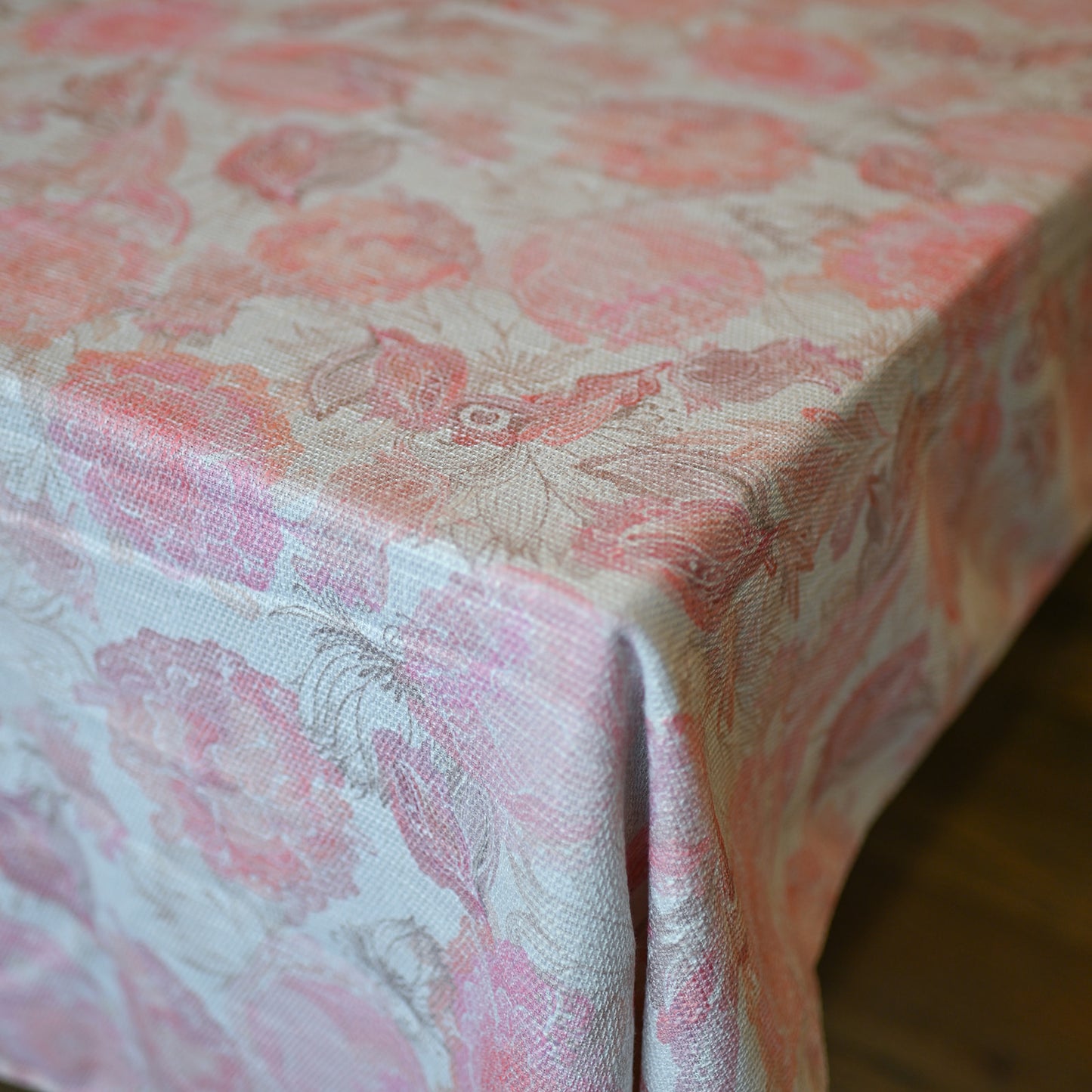Pink Poppy
