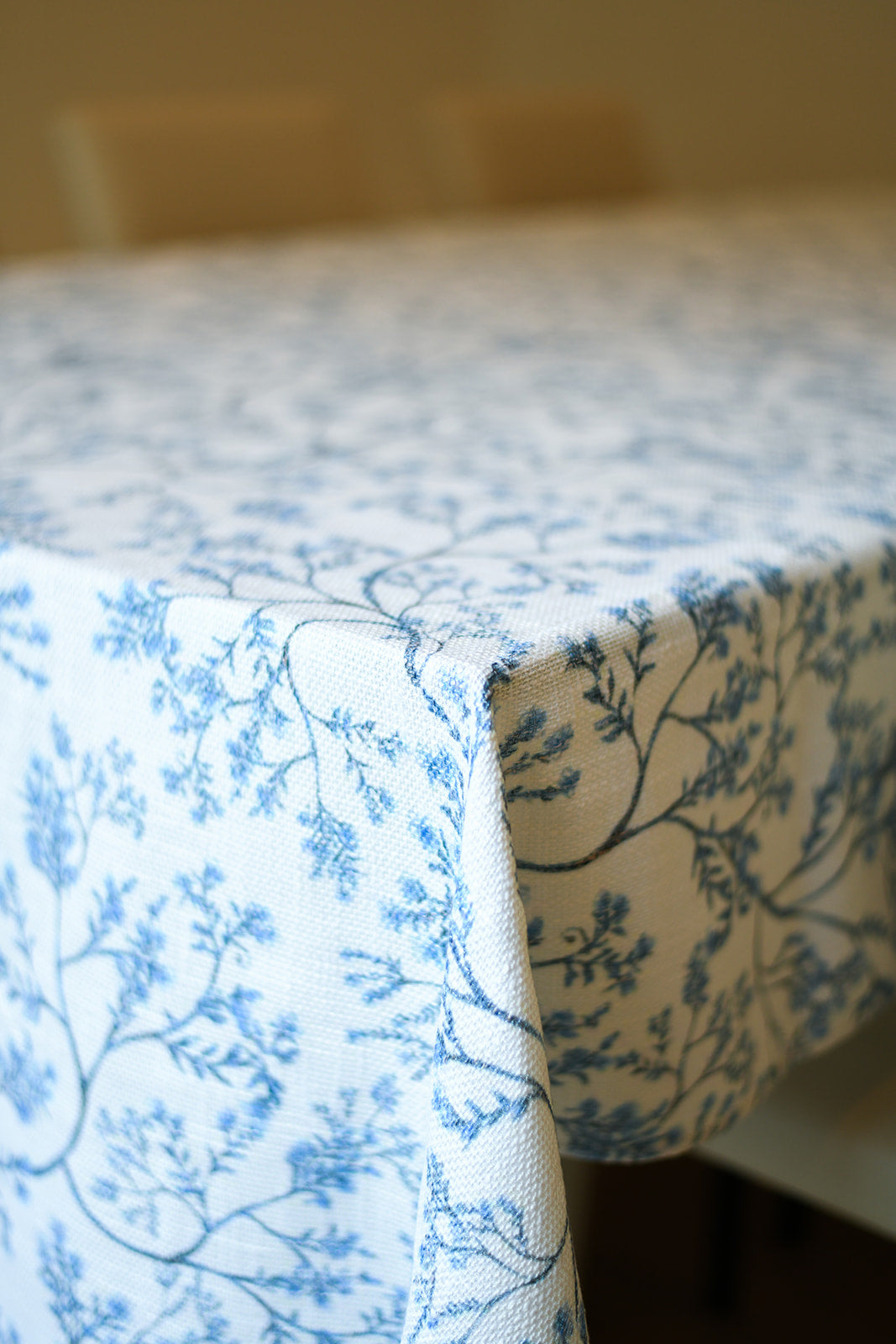 False Indigo flowers