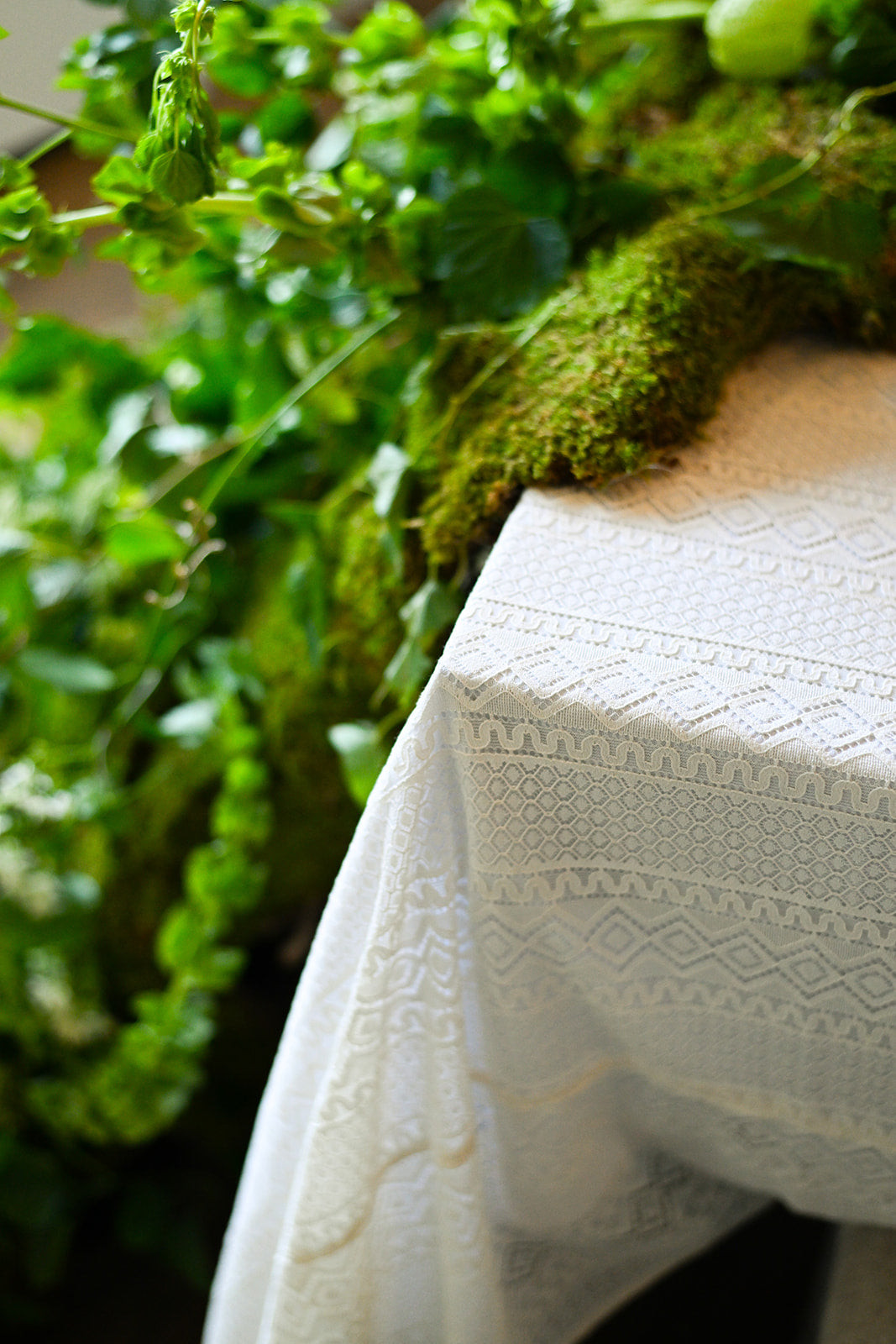 Classic Lace