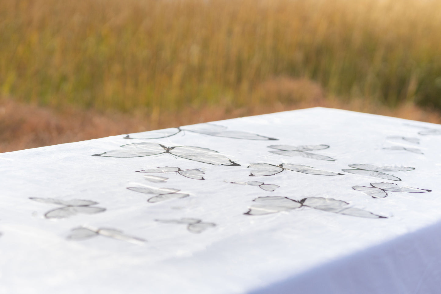 Pens Butterflies Velvet Tablecloth
